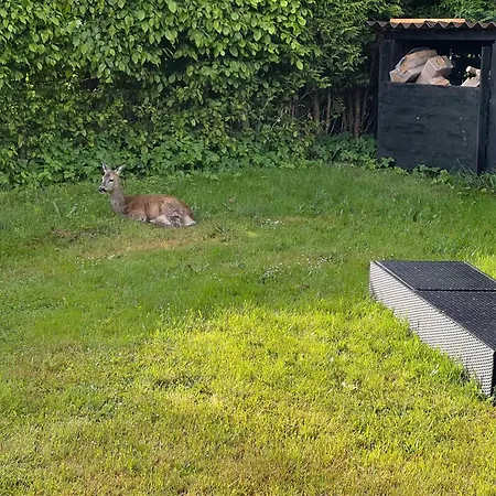 With Fjord View In Lovely Vellerup * Skibby